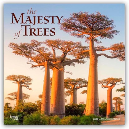 The Majesty of Trees - Die Erhabenheit der Bäume 2026 - 16-Monatskalender, Browntrout Publishers - Paperback - 9798330704491