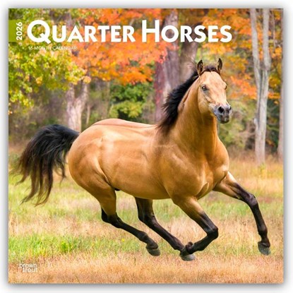 Quarter Horses - Quarter Horse 2026 - 16-Monatskalender, Browntrout Publishers - Paperback - 9798330705290
