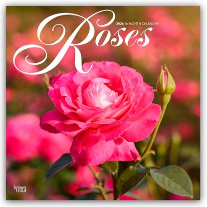 Roses - Rosen 2026 - 16-Monatskalender, Browntrout Publishers - Paperback - 9798330705382