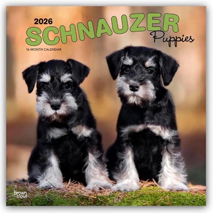 Browntrout: Schnauzer Puppies 2026 12 X 24 Inch (Hanging) Mo, Browntrout Publishers - Paperback - 9798330705443