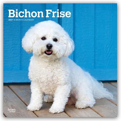 Bichon Frise | 2027 12 x 24 Inch (Hanging) Monthly Square Wall Calendar | Plastic-Free | BrownTrout | Animals Dog Breeds, BrownTrout - Paperback - 9798330712243
