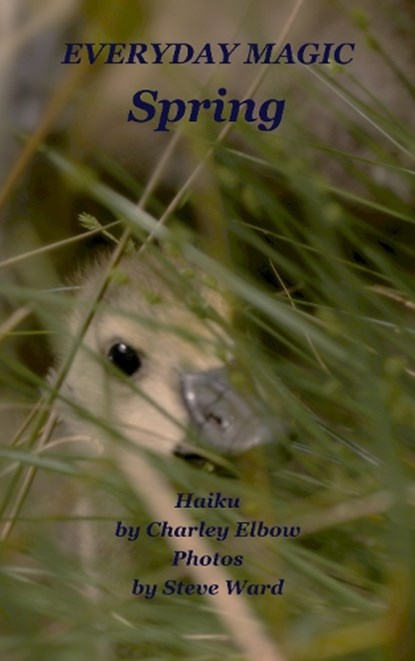 Everyday Magic: Spring, Charley Elbow - Paperback - 9798333403124