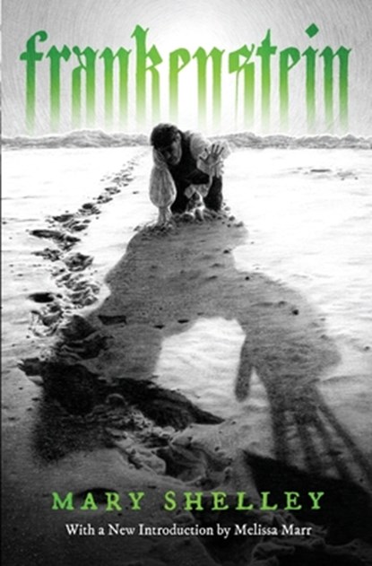 Frankenstein, Mary Shelley - Paperback - 9798337202365