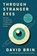 Through Stranger Eyes, David Brin - Paperback - 9798337205830