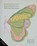 Fairies, Stacia Deutsch - Gebonden - 9798337401096