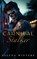 Carnival Stalker: A Dark Stalker Romance, Selena Winters - Paperback - 9798340819284