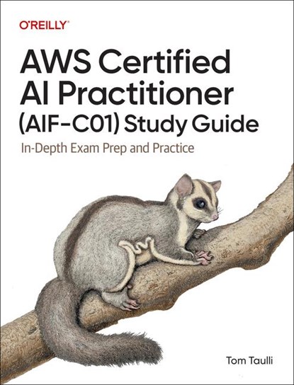 AWS Certified AI Practitioner Study Guide, Tom Taulli - Paperback - 9798341622333