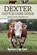 Dexter Cattle Care Guide: Small Cattle, Big Returns, Raymond Jack Tyler - Paperback - 9798345154717