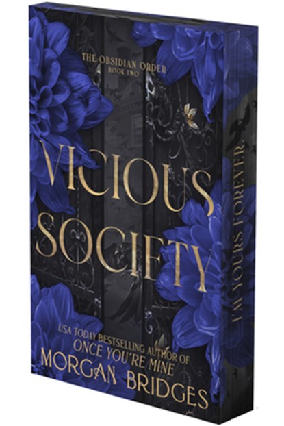 Vicious Society: A Dark Romance (Deluxe Limited Edition), Morgan Bridges - Paperback - 9798347029884