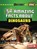 34 Amazing Facts about Dinosaurs, Hannah Gramson - Paperback - 9798348029487
