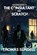 The Consultant and Scratch, Thomas Sundell - Paperback - 9798348140410