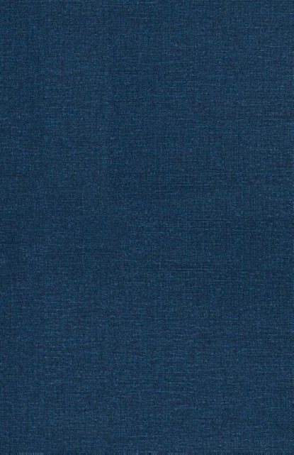 Affirmations for Abundance, Jaxon Hollow - Gebonden - 9798349235962