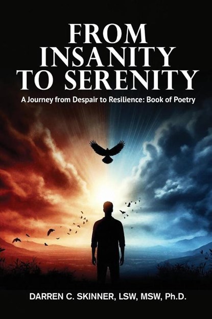 From Insanity to Serenity, Lsw Msw Darren C. Skinner - Paperback - 9798349335037