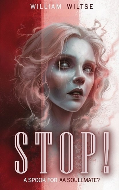 Stop: A Spook for a Soulmate, William E. Wiltse - Paperback - 9798349348501