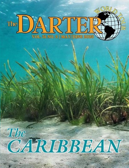 The Darter, Micah Issitt - Paperback - 9798349357879
