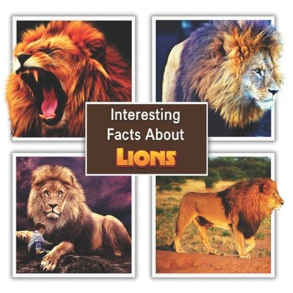 Interesting Facts About Lions: Children's Picture Book for Lions / Facts About Lions for Kids, James K. Mahi - Paperback - 9798373353885