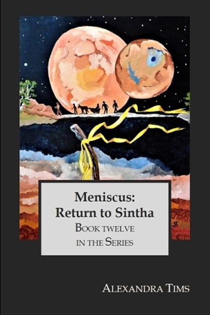 Meniscus, Alexandra Tims - Paperback - 9798374515398