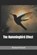 The Hummingbird Effect, Richard Powell - Paperback - 9798376434925