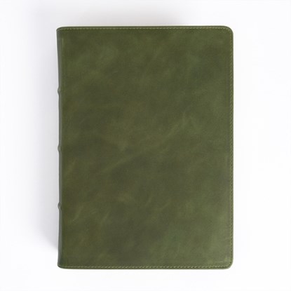 CSB She Reads Truth Bible, Holman Handcrafted Collection, Olive Premium Calfskin, Raechel Myers - Gebonden - 9798384518693