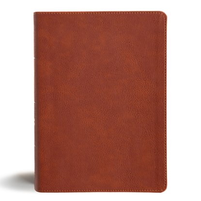 CSB Study Bible, Personal Size, Digital Study Edition, Burnt Sienna Leathertouch, Csb Bibles by Holman - Gebonden - 9798384523550