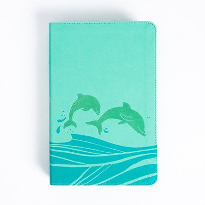 KJV Easy-For-Me Bible for Early Readers, Seafoam Leathertouch, Holman Bible Publishers - Gebonden - 9798384523703