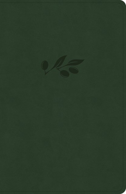 KJV Personal Size Giant Print Bible, Olive Leathertouch, Indexed, Holman Bible Publishers - Gebonden - 9798384525356