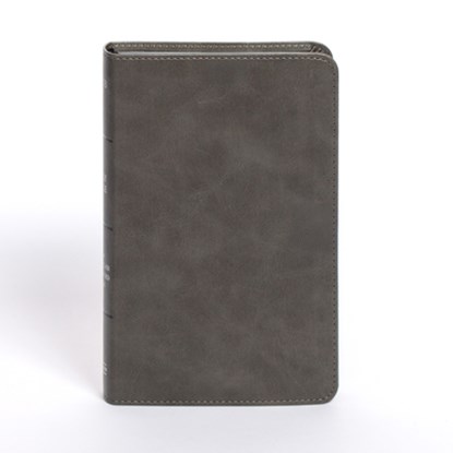 NASB Personal Size Bible, Charcoal Leathertouch, Holman Bible Publishers - Gebonden - 9798384525370