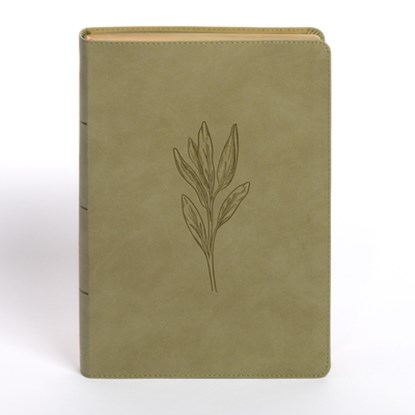 NASB Super Giant Print Reference Bible, Sage Suedesoft Leathertouch, Indexed, Holman Bible Publishers - Gebonden - 9798384525417