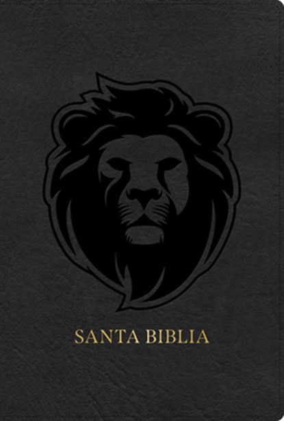 Rvr 1960 Biblia Letra Grande Tamaño Manual Edición Especial, Ceniza, Símil Piel, B&h Español Editorial - Gebonden - 9798384525851