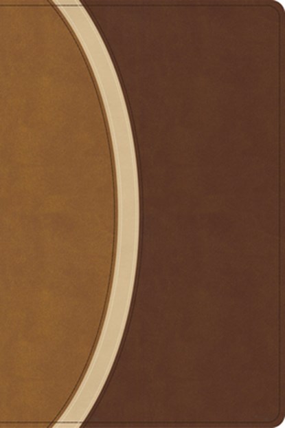 CSB Rainbow Study Bible, Brown Leathertouch (Limited Edition), Csb Bibles by Holman - Gebonden - 9798384534211