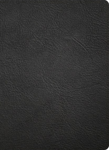 NASB Study Bible, Black Genuine Leather, Holman Bible Publishers - Gebonden - 9798384540335