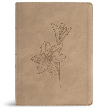 CSB Verse-By-Verse Reference Bible, Digital Study Edition, Earth Suedesoft Leathertouch, Csb Bibles by Holman - Gebonden - 9798384540786