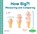 How Big?!, Bela Davis - Gebonden - 9798384905080