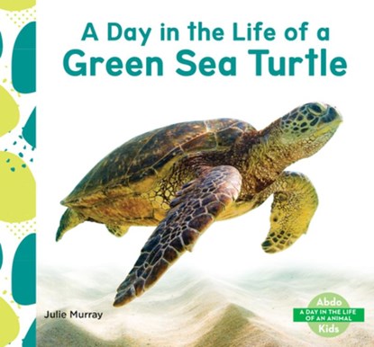 Day in the Life of a Green Sea Turtle, Julie Murray - Gebonden - 9798384907299