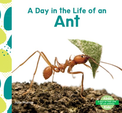 Day in the Life of an Ant, Julie Murray - Gebonden - 9798384907336