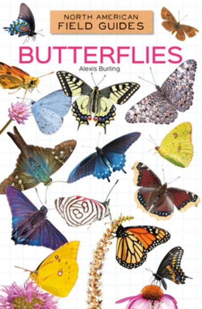 Butterflies, Alexis Burling - Gebonden - 9798384970194