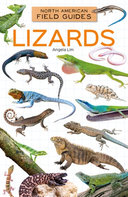 Lizards, Angela Lim - Gebonden - 9798384970200