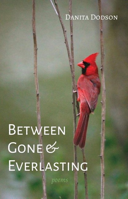 Between Gone and Everlasting, Danita Dodson - Paperback - 9798385213092