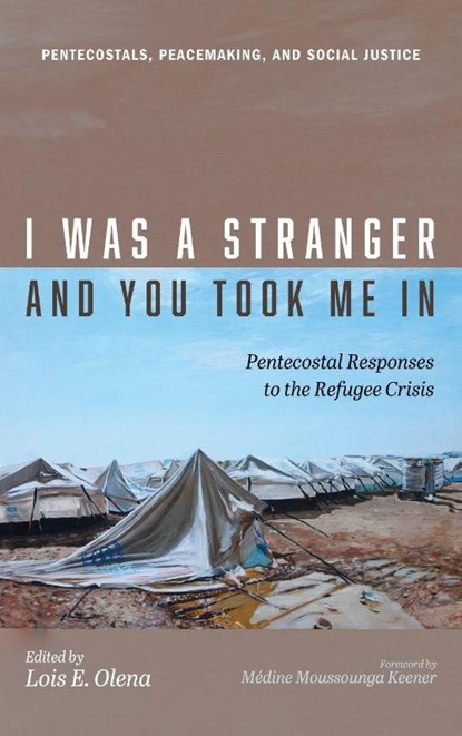 I Was a Stranger and You Took Me In, Lois E. Olena - Gebonden - 9798385222155