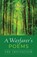 A Wayfarer's Poems, T. A. Gibson - Paperback - 9798385225644