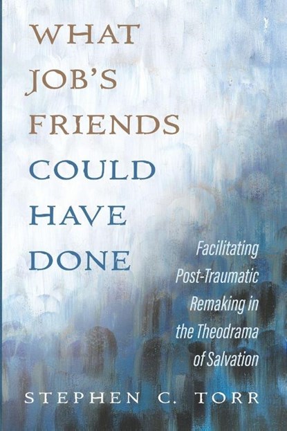 What Job s Friends Could Have Done, Stephen Torr - Paperback - 9798385227563