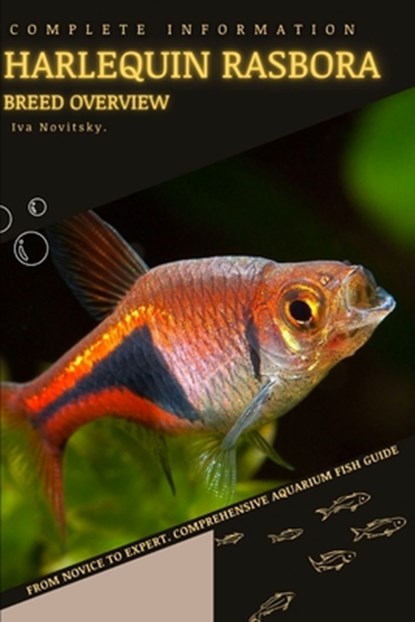 Harlequin Rasbora: From Novice to Expert. Comprehensive Aquarium Fish Guide, Iva Novitsky - Paperback - 9798398420579