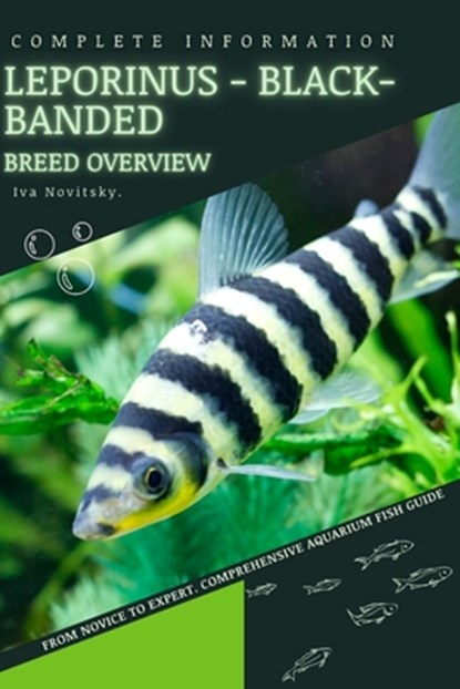 Leporinus - Black-banded: From Novice to Expert. Comprehensive Aquarium Fish Guide, Iva Novitsky - Paperback - 9798398787566