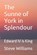 The Sunne of York in Splendour, Steve Williams - Paperback - 9798401192806