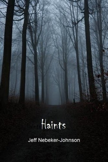 Haints, NEBEKER-JOHNSON,  Jeff - Paperback - 9798411627893