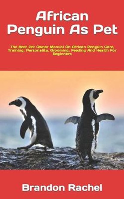 African Penguin As Pet, Brandon Rachel - Paperback - 9798422566761