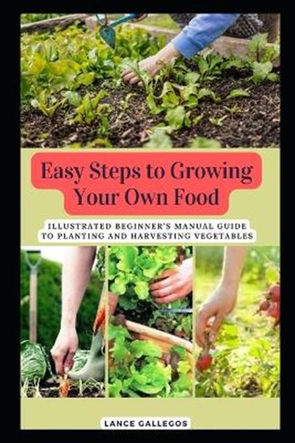 Easy Steps to Growing Your Own Food, GALLEGOS,  Lance - Paperback - 9798423455248