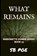 What Remains, S B Poe - Paperback - 9798507100804