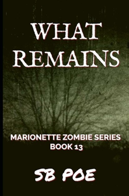 What Remains, S B Poe - Paperback - 9798507100804