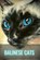 Balinese Cats, SID,  Ilya - Paperback - 9798512424094